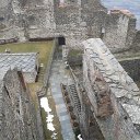 tor (52)